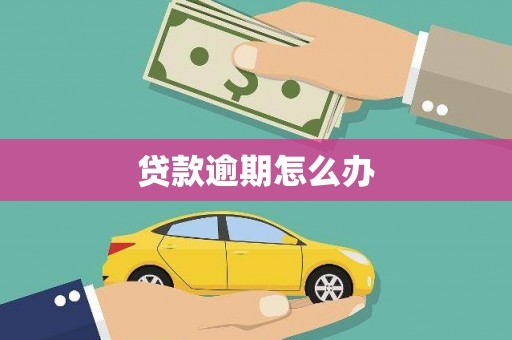 浦东贷款逾期怎么办