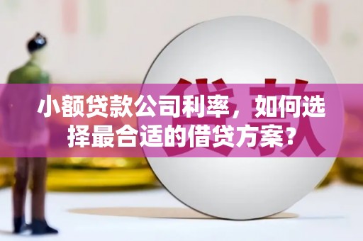 敖汉旗小额贷款公司利率，如何选择最合适的借贷方案？
