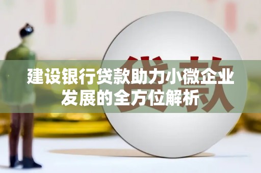 海晏建设银行贷款助力小微企业发展的全方位解析