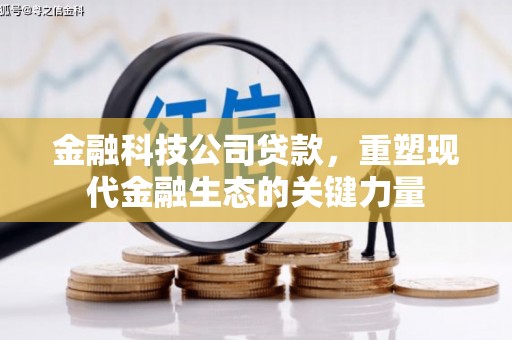 修文金融科技公司贷款，重塑现代金融生态的关键力量