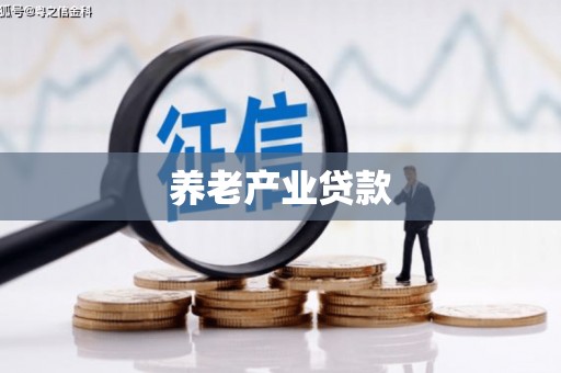 京口养老产业贷款