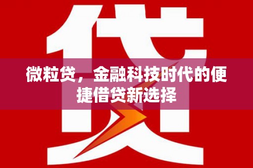 逊克微粒贷，金融科技时代的便捷借贷新选择