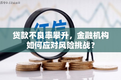 台州贷款不良率攀升，金融机构如何应对风险挑战？