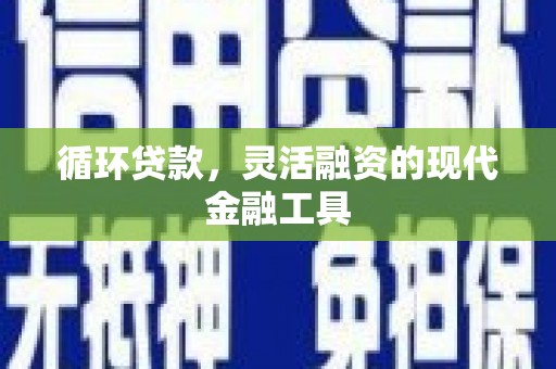 漳平循环贷款，灵活融资的现代金融工具