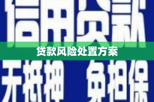 陇川贷款风险处置方案