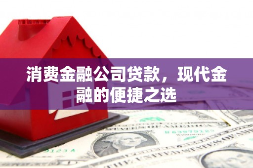 泾阳消费金融公司贷款，现代金融的便捷之选