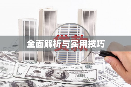 崖州全面解析与实用技巧 崖州全面解析与实用技巧