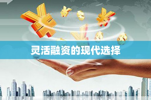 陆良灵活融资的现代选择