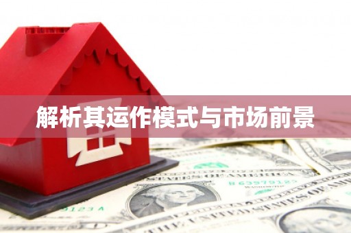 梧州解析其运作模式与市场前景