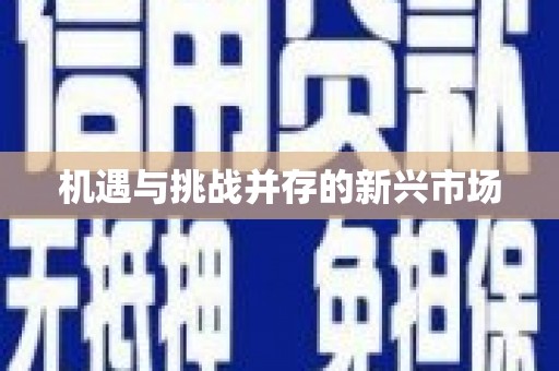 丹徒机遇与挑战并存的新兴市场