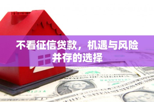 铁山不看征信贷款，机遇与风险并存的选择