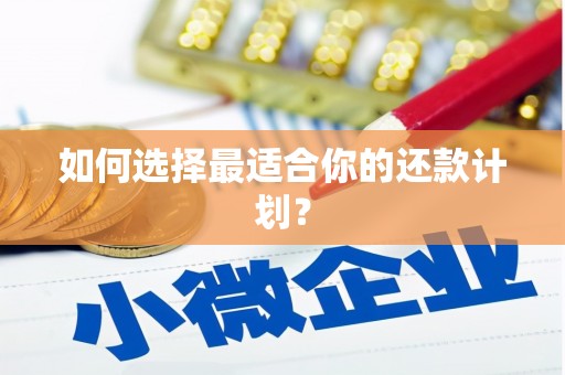文圣如何选择最适合你的还款计划？