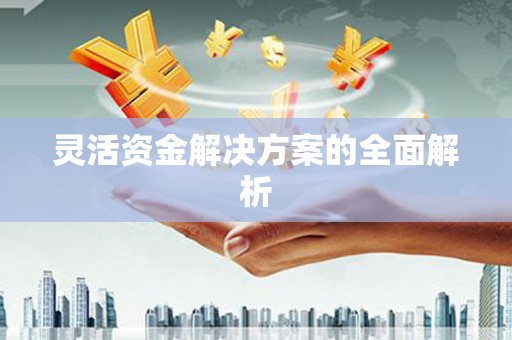 滴道灵活资金解决方案的全面解析