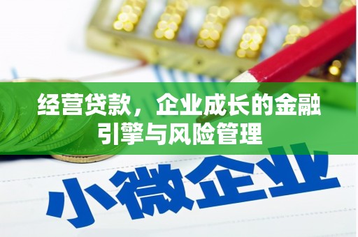 呼和浩特经营贷款，企业成长的金融引擎与风险管理